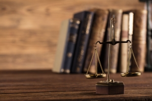 Minority Shareholder Disputes